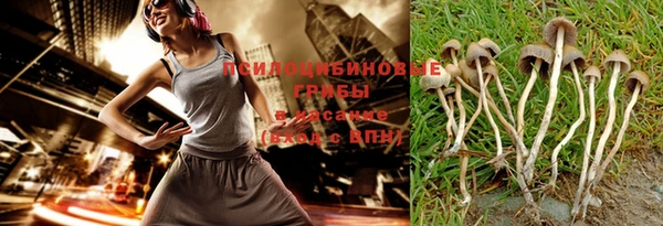 амфетамин Лабытнанги
