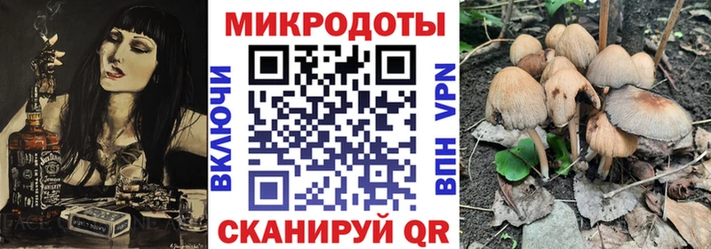 купить наркотик  Среднеколымск  Псилоцибиновые грибы Psilocybe 