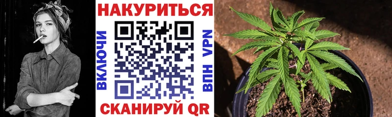 Бошки марихуана SATIVA & INDICA  Среднеколымск 